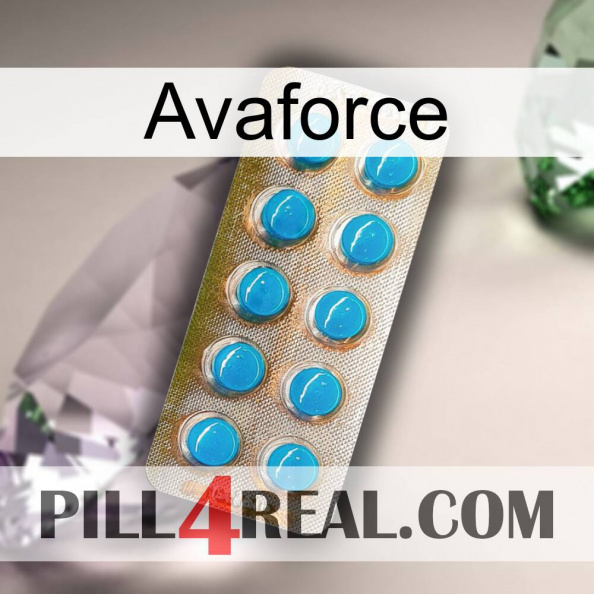 Avaforce new09.jpg